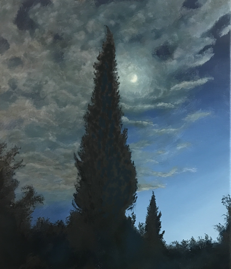Les cyprès